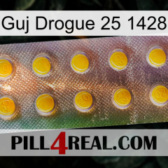 Guj Drug 25 1428 new11